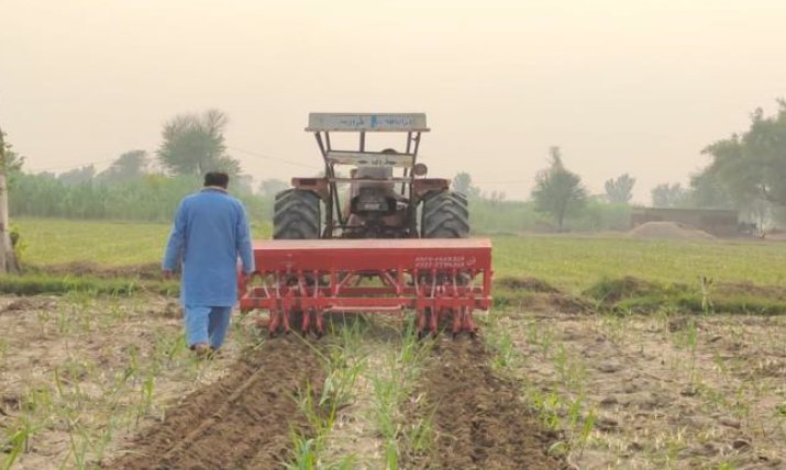 Maximizing Sugarcane Yields And Sustainability With Intercropping