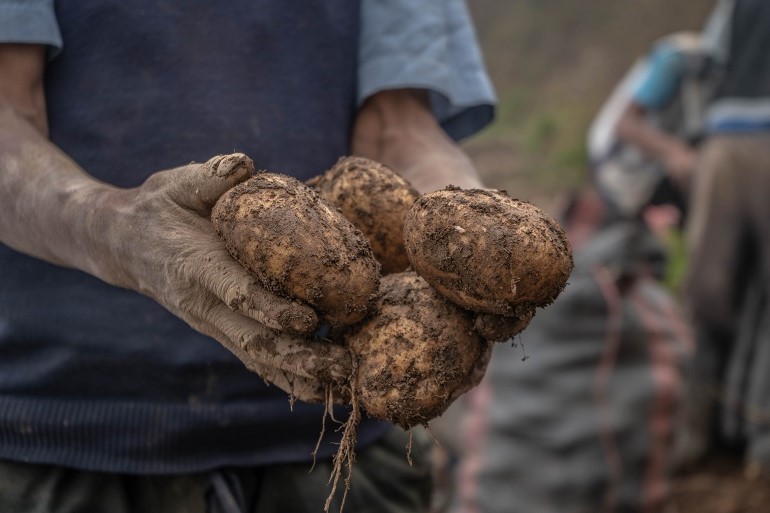 Como se tornar um agricultor de sucesso