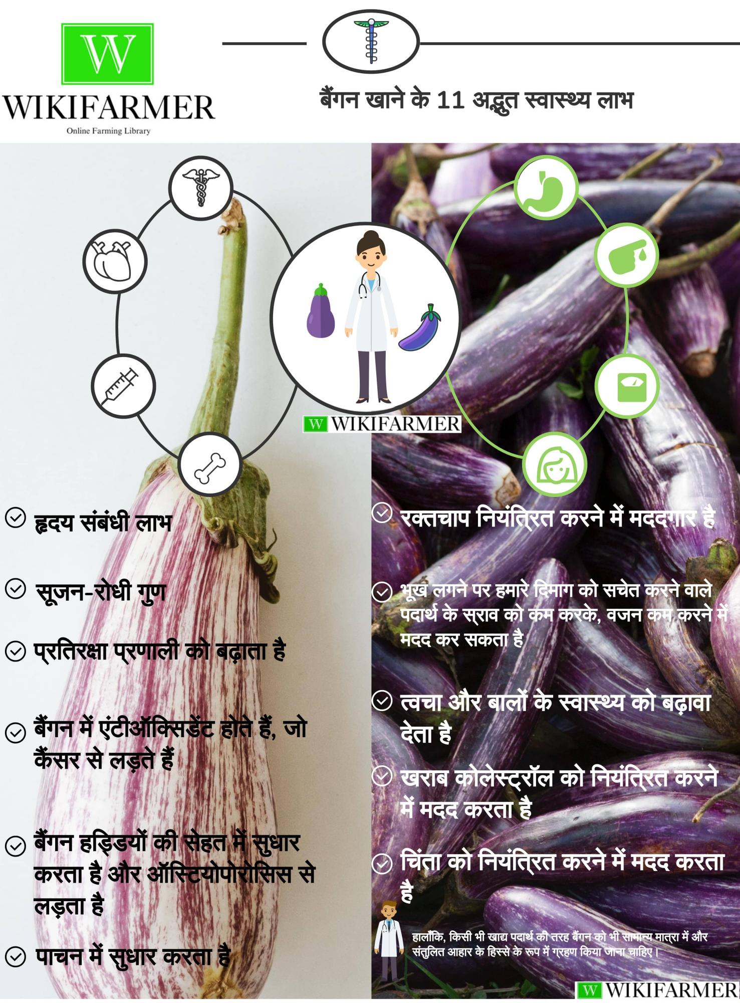 बैंगन के औषधीय गुण – बैंगन के फायदे