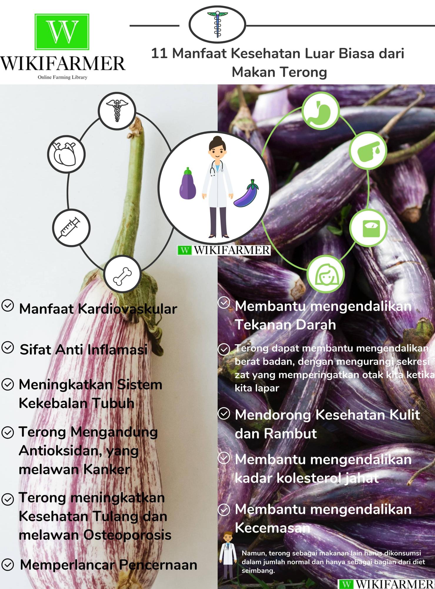 11 Manfaat Kesehatan Luar Biasa dari Memakan Terong