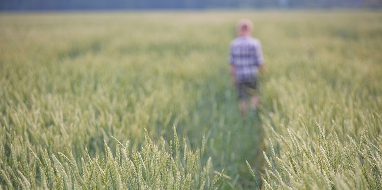 Wie wird man landwirtschaftlicher betrieb - Schritt für Schritt Anleitung