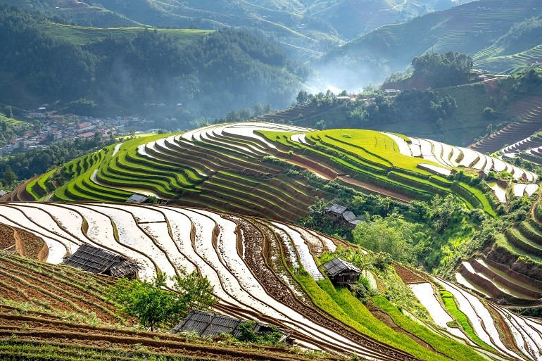 稻田和土壤准备 稻田和土壤准备