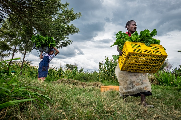 Female vegetable farmers ¿Qué es la agricultura de subsistencia?