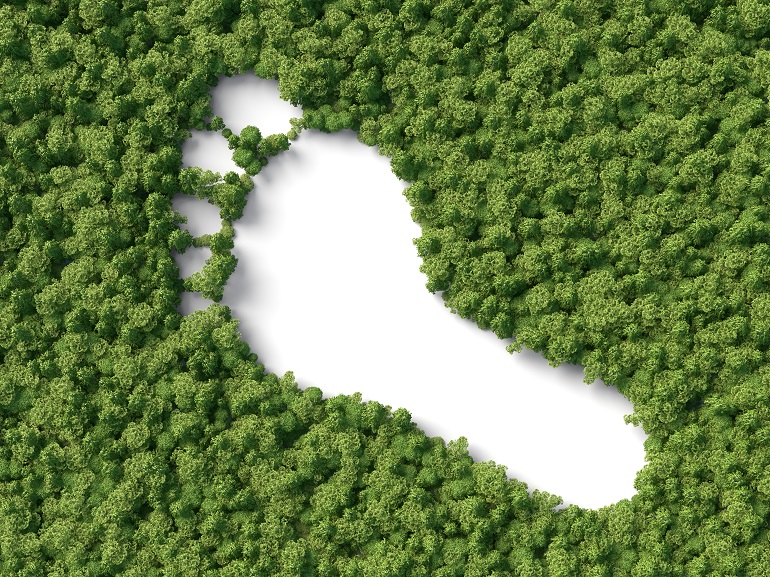 footprint in the forest 탄소발자국(Carbon Foorprint)이란 무엇인가