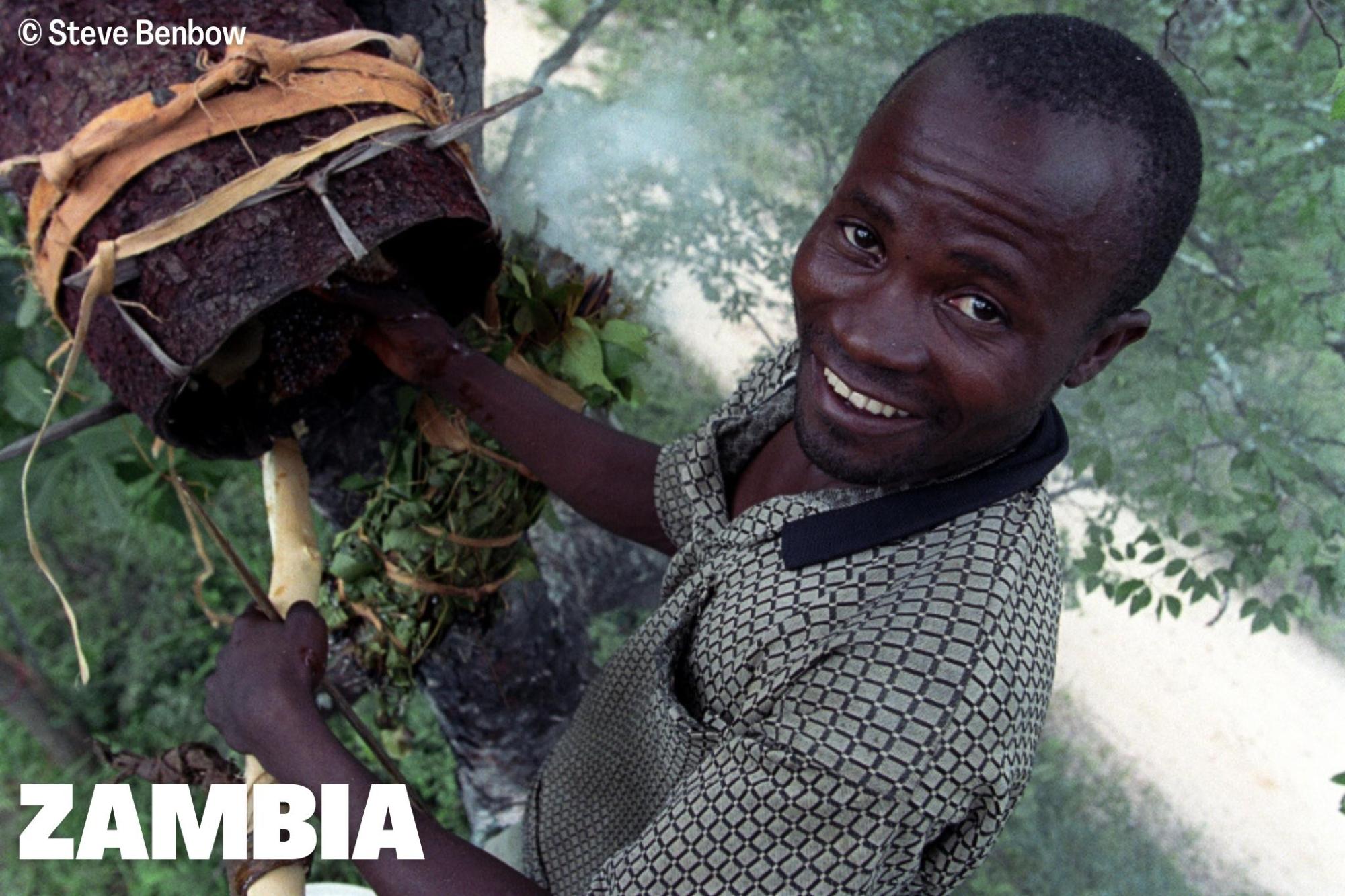 Nature-based Beekeeping