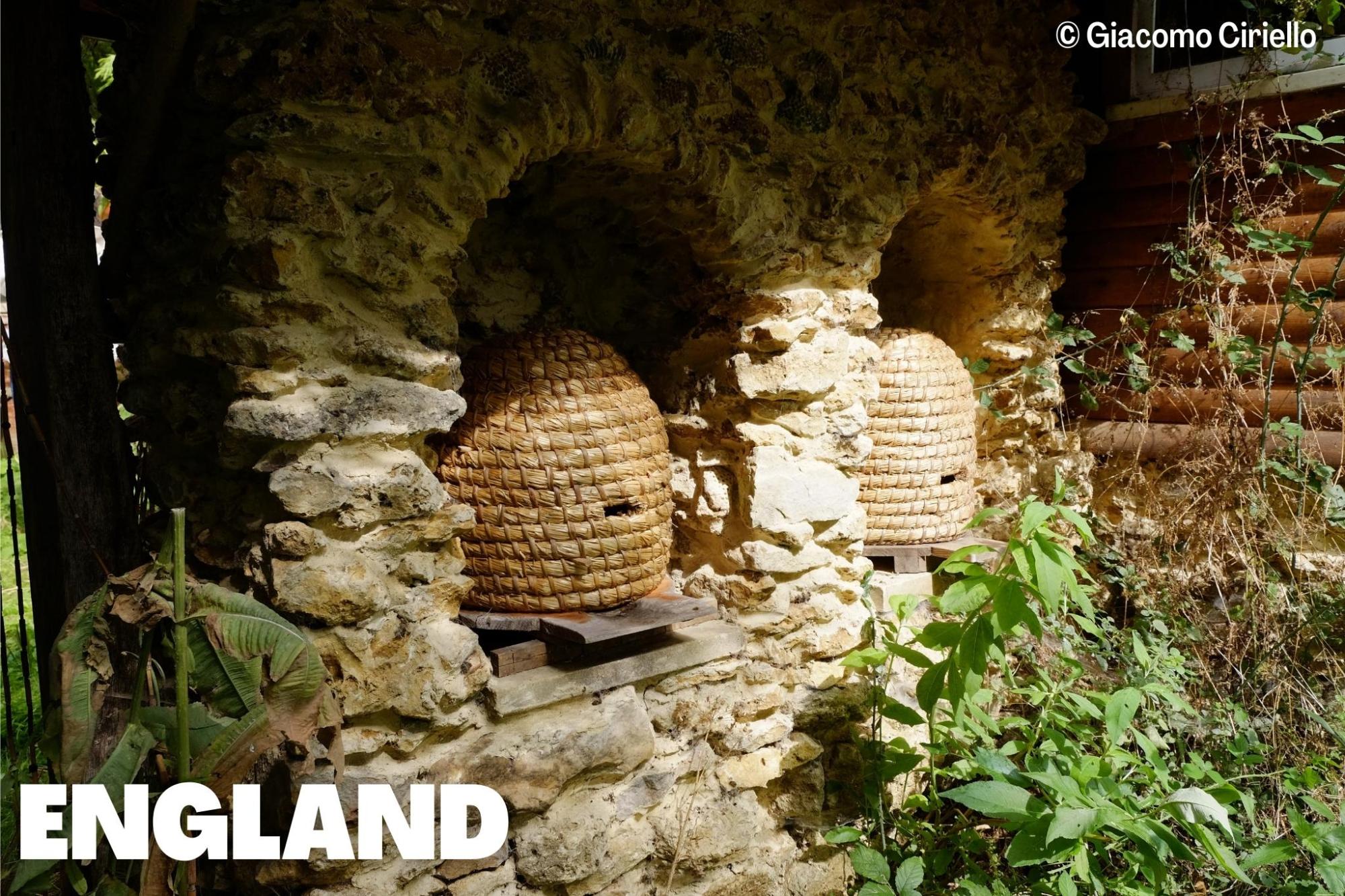 Nature-based Beekeeping