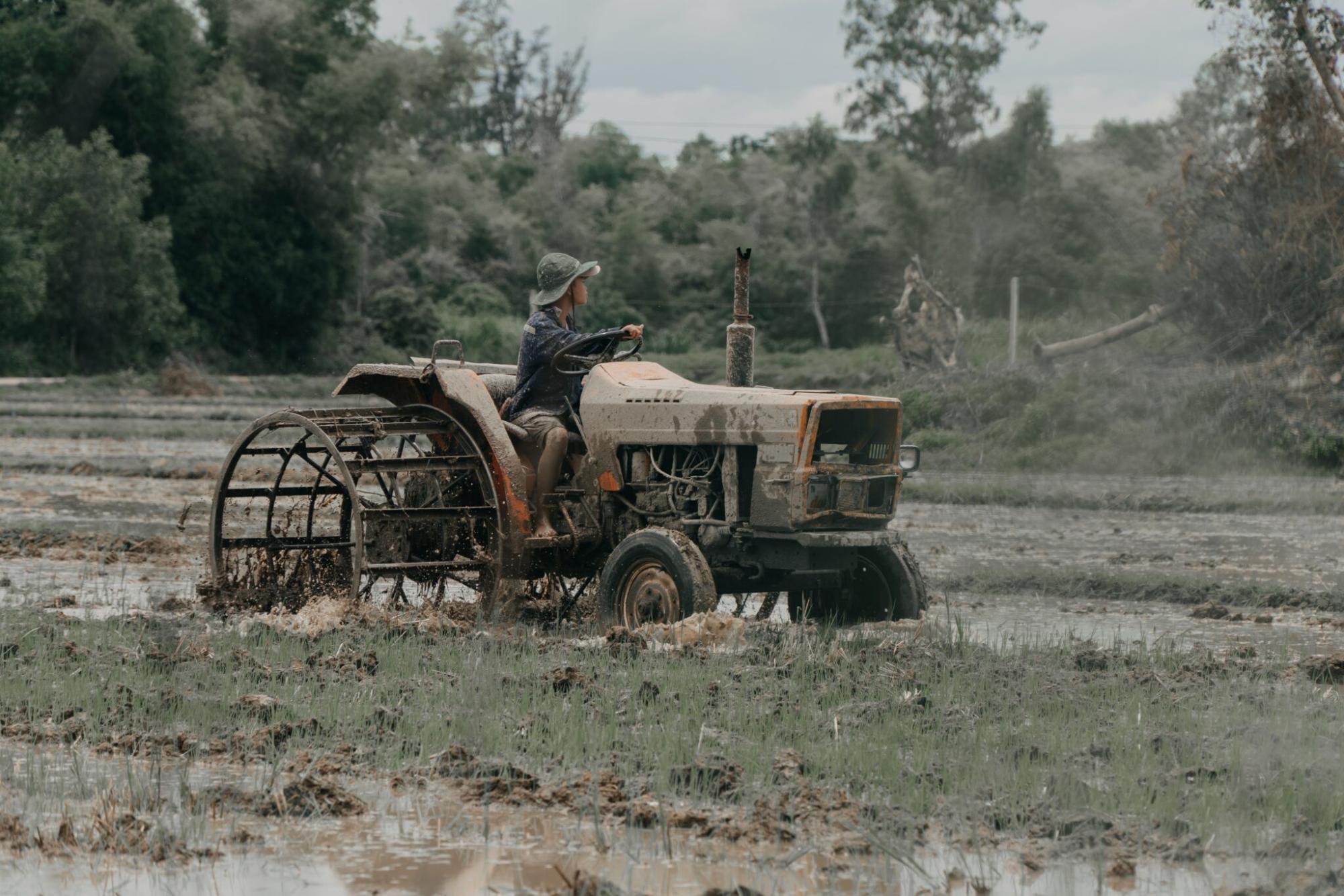 Agriculturele verzekering en risico management