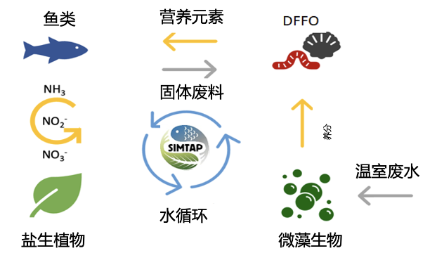 .藻类作为水产养殖的可持续饲料