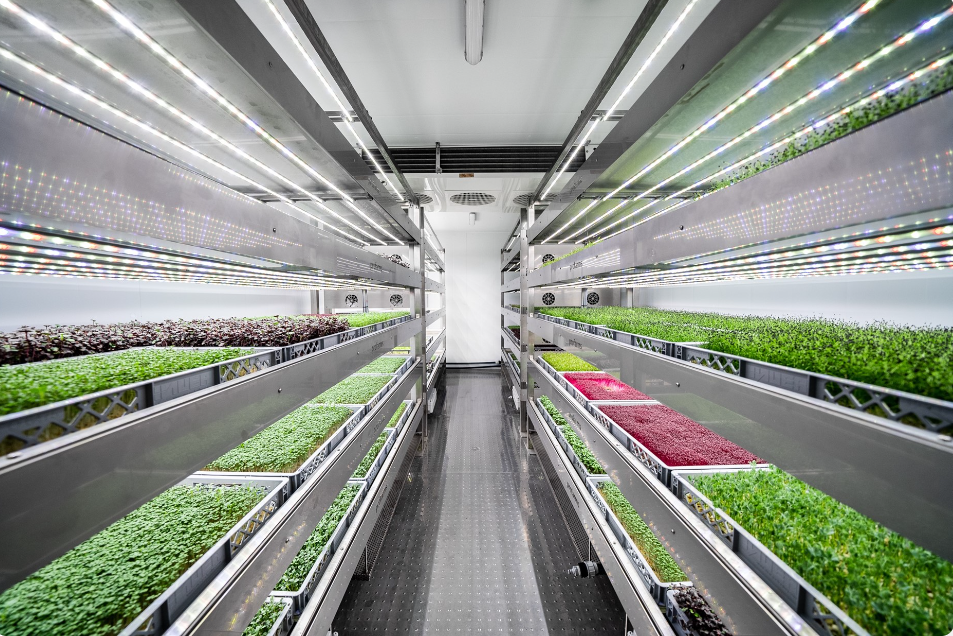 ¿Qué es la agricultura vertical?