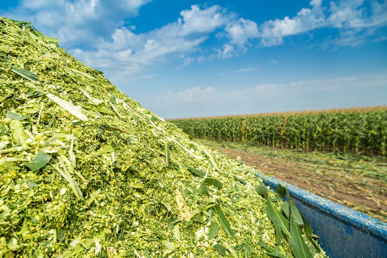 Qu'est-ce que l'ensilage et comment le produire?