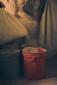 Qu'est-ce que l'ensilage et comment le produire?
