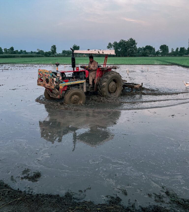 Comment choisir le bon tracteur pour votre exploitation 