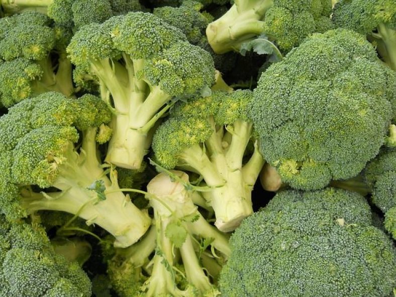 How to Store Broccoli
