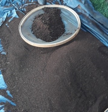 Os princípios e diretrizes para uma compostagem bem-sucedida