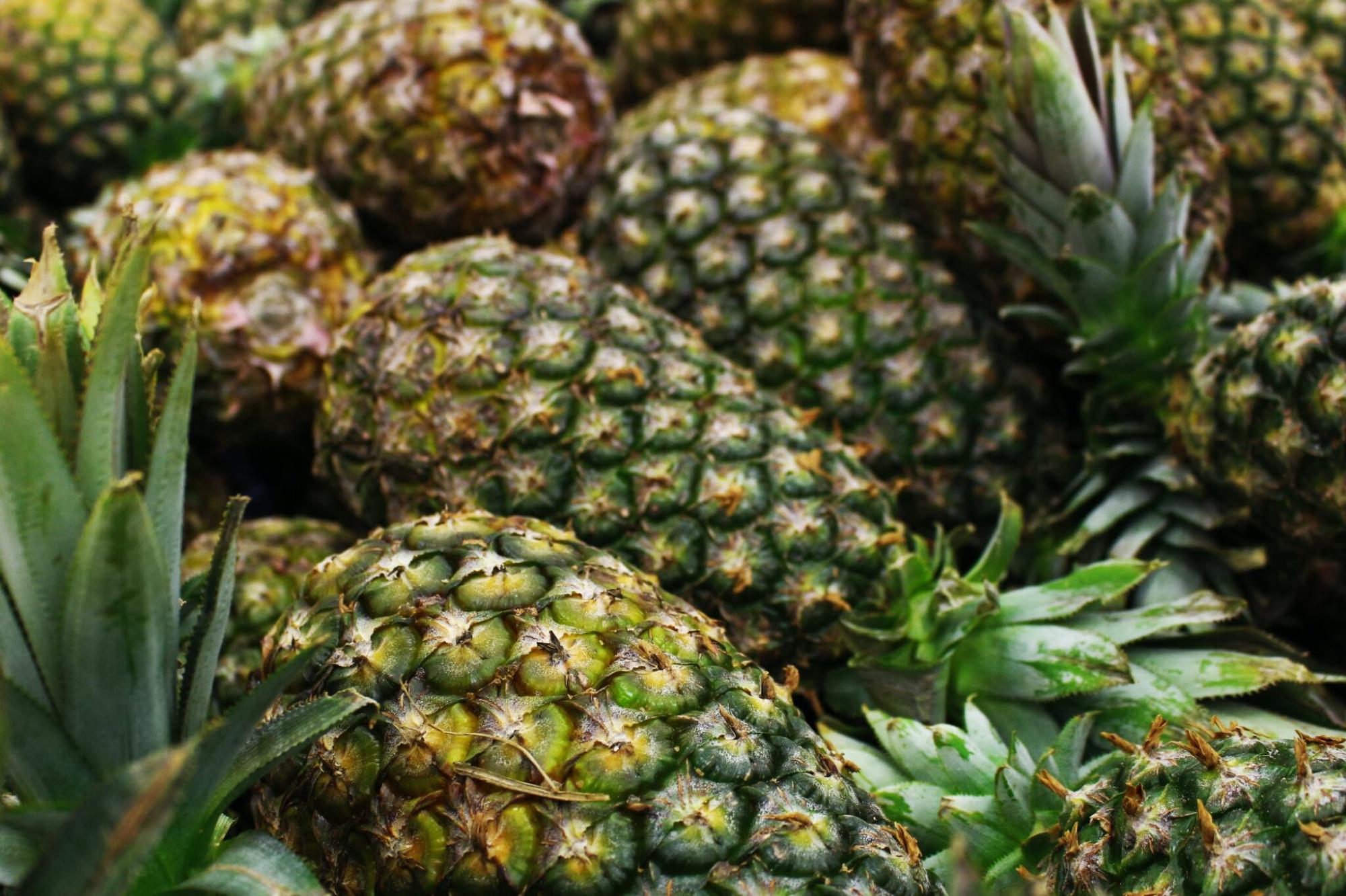 Récolte, manipulation, stockage et vente d'ananas