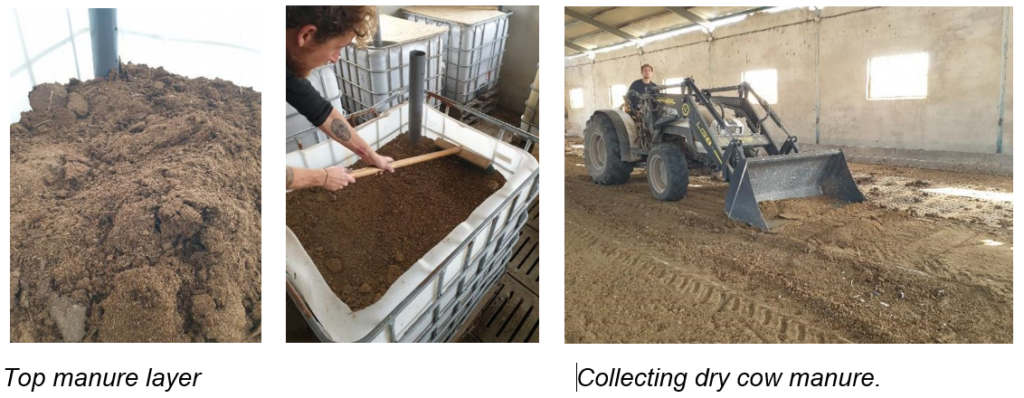 Κομποστοποίηση με γεωσκώληκες (Vermicompost)