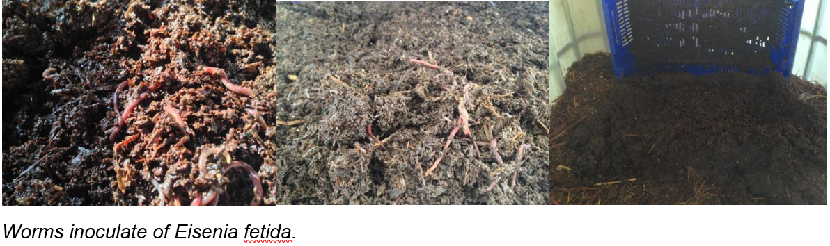 Κομποστοποίηση με γεωσκώληκες (Vermicompost)