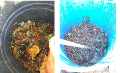 Κομποστοποίηση με γεωσκώληκες (Vermicompost)