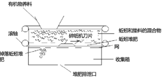 什么是蚯蚓堆肥？其不同类型以及如何监控其生活环境条件