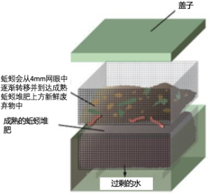 什么是蚯蚓堆肥？其不同类型以及如何监控其生活环境条件