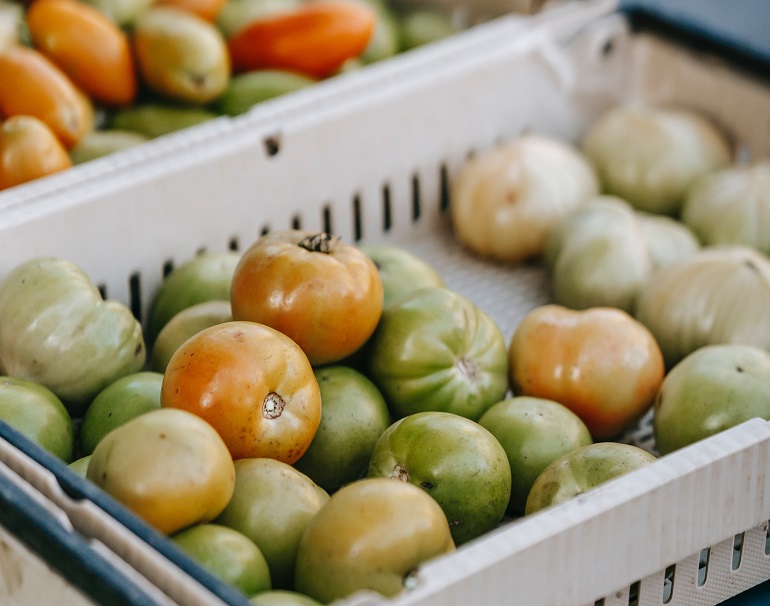 Como armazenar tomates para minimizar as perdas pós-colheita