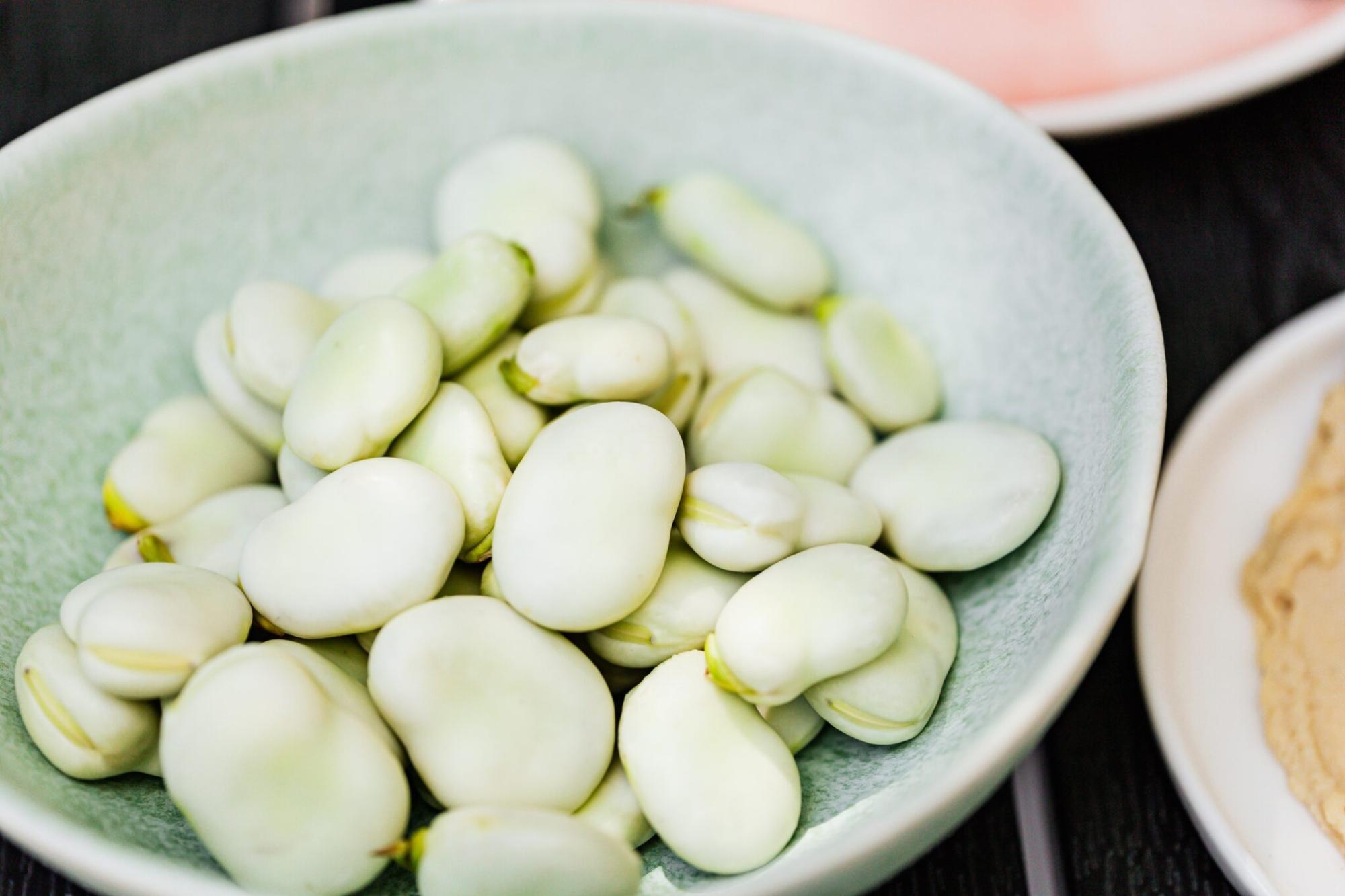 Antinutrientes em alimentos vegetais: são bons ou ruins para a saúde?