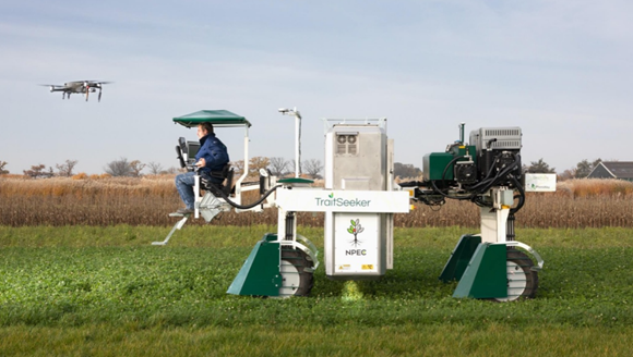 Pommes de terre hybrides - Une solution intelligente sur le plan climatique pour les producteurs de pommes de terre