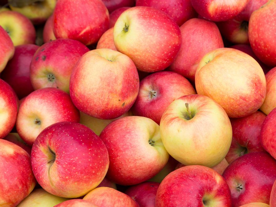 Que sont les prébiotiques et pourquoi sont-ils bénéfiques ?