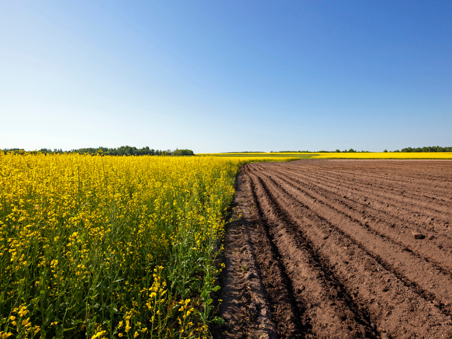 The Significance of Sustainable Farming Practices
