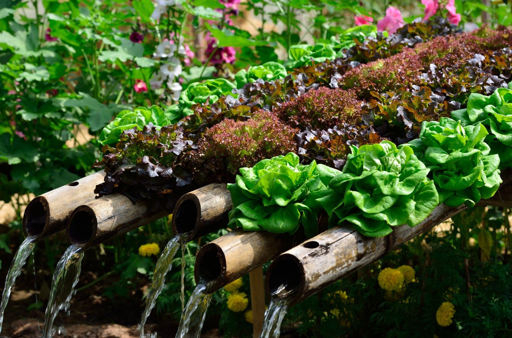 Different types of hydroponics systems and how they work