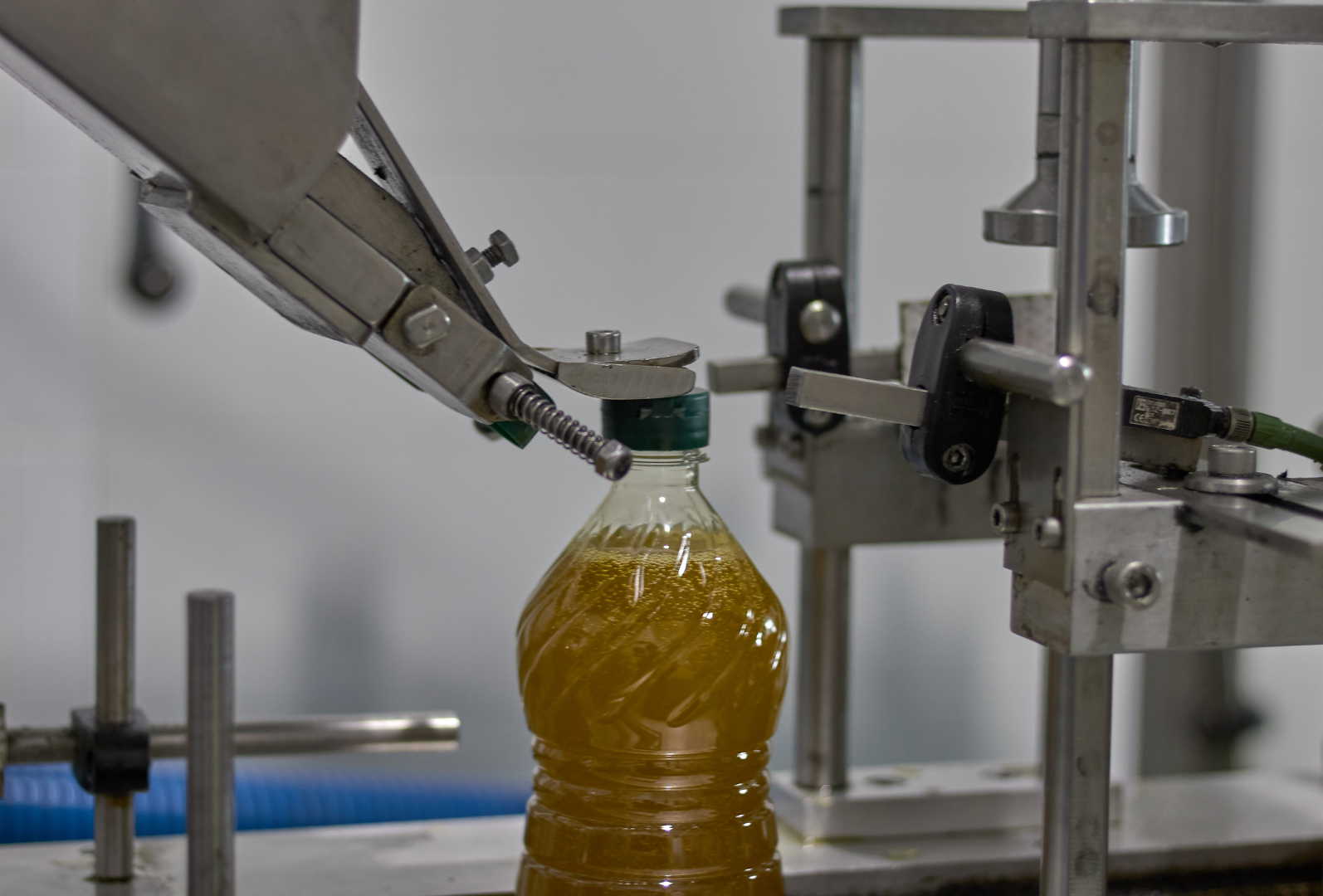 PDOPGI Extra Virgin Olive Oil and DNA Traceability to ensure Purity PDO/PGI Extra Virgin Olive Oil and DNA Traceability to ensure Purity