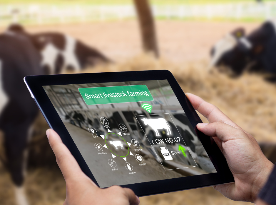 Pecuária AgTech para melhorar a sustentabilidade