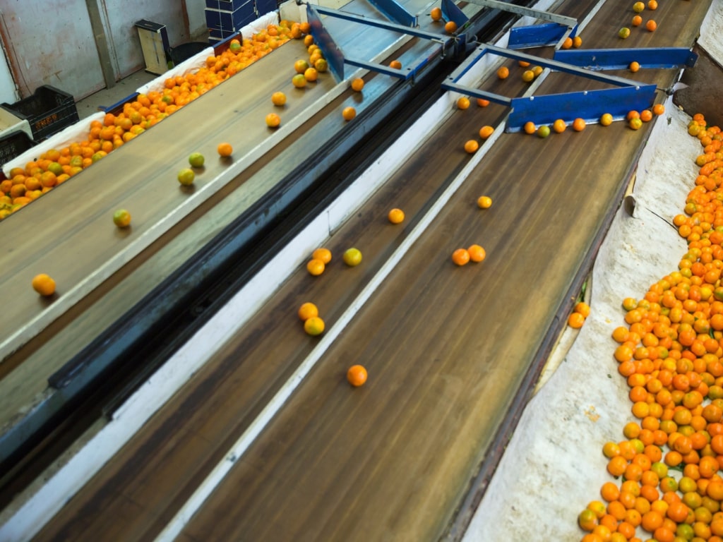 HACCP - (Hazard Analysis and Critical Control Point) 
