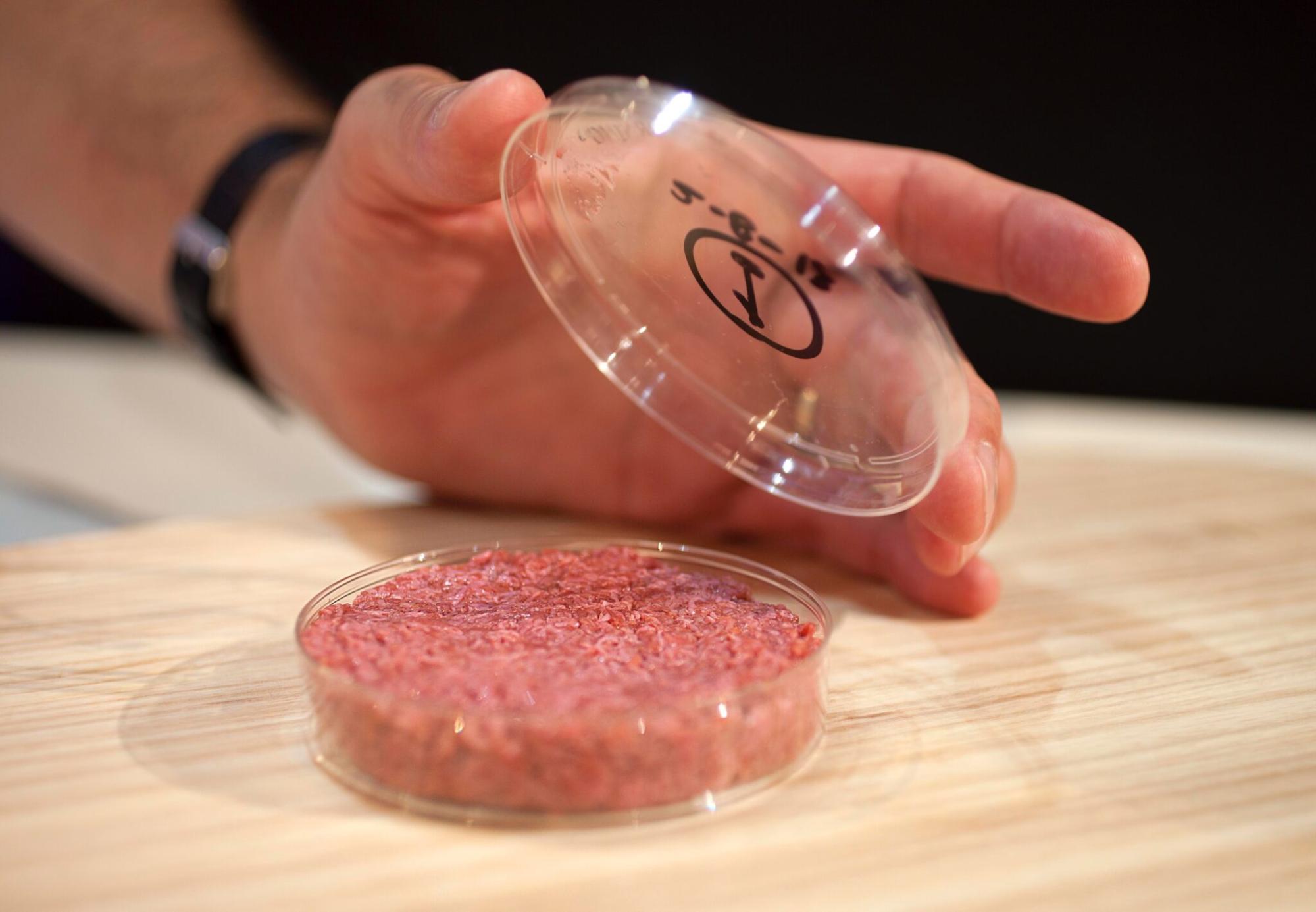 Zelluläre Landwirtschaft – Kulturfleisch
