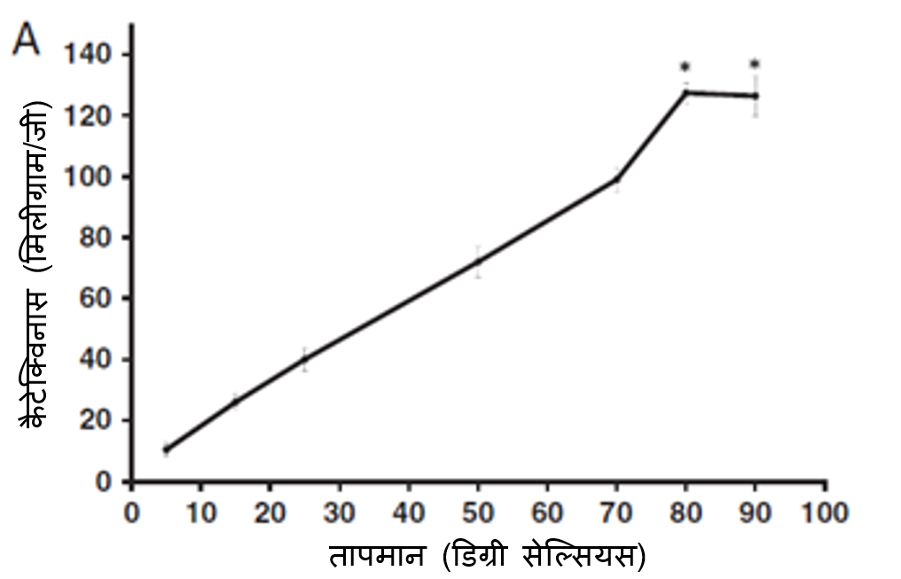 चाय में कैटेचिन
