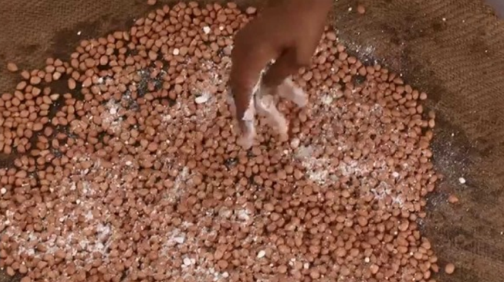 बीज उपचार एवं कृषि एवं खाद्य सुरक्षा हेतु इसका महत्व