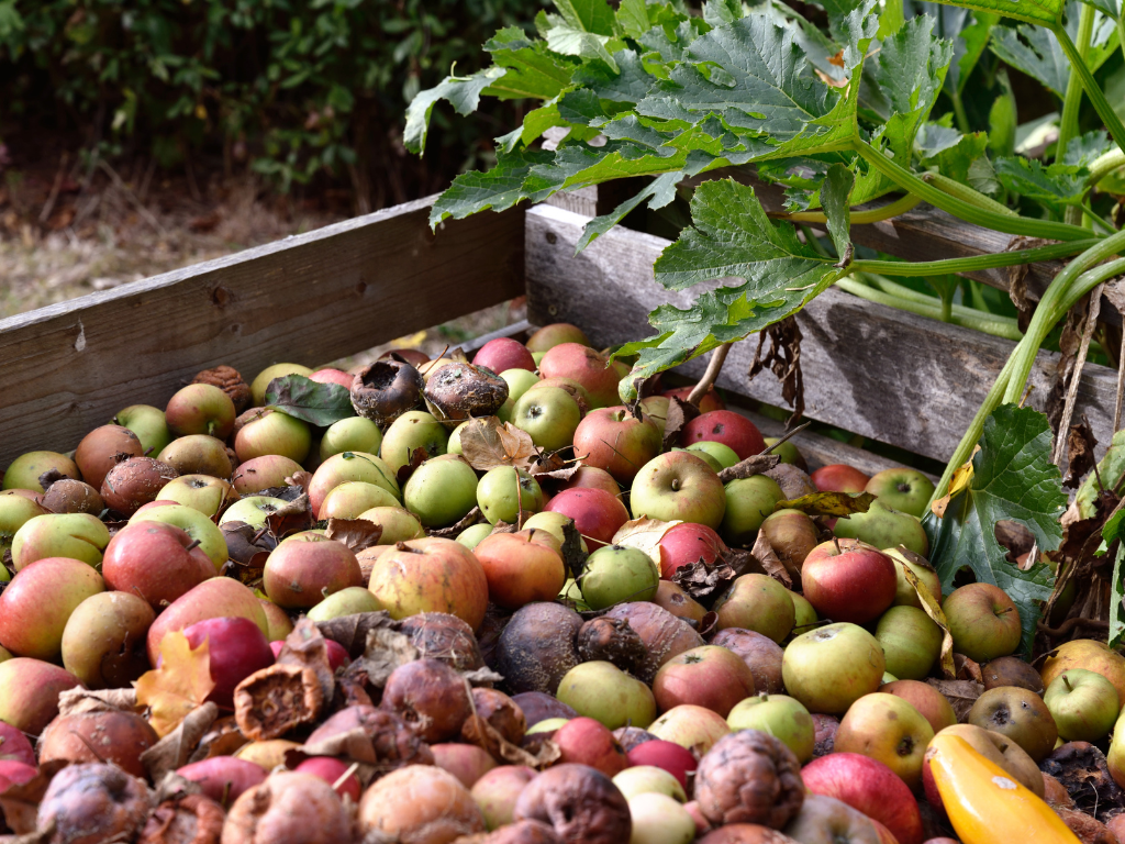 Del campo a la mesa Estrategias para reducir el desperdicio de alimentos Del campo a la mesa: Estrategias para reducir el desperdicio de alimentos