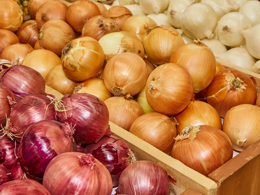Interesting Facts about Onions