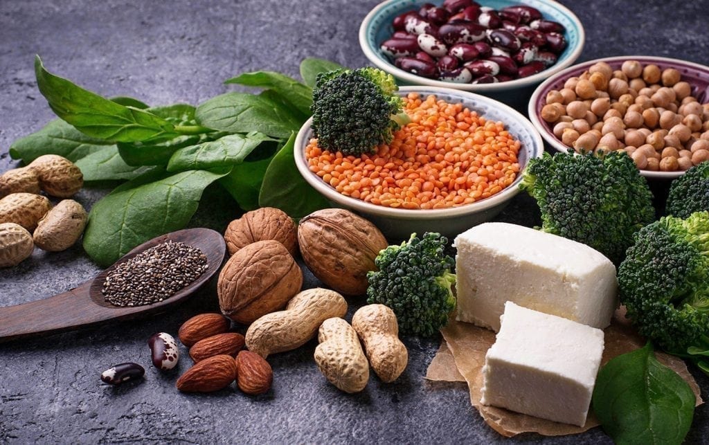 plant proteins