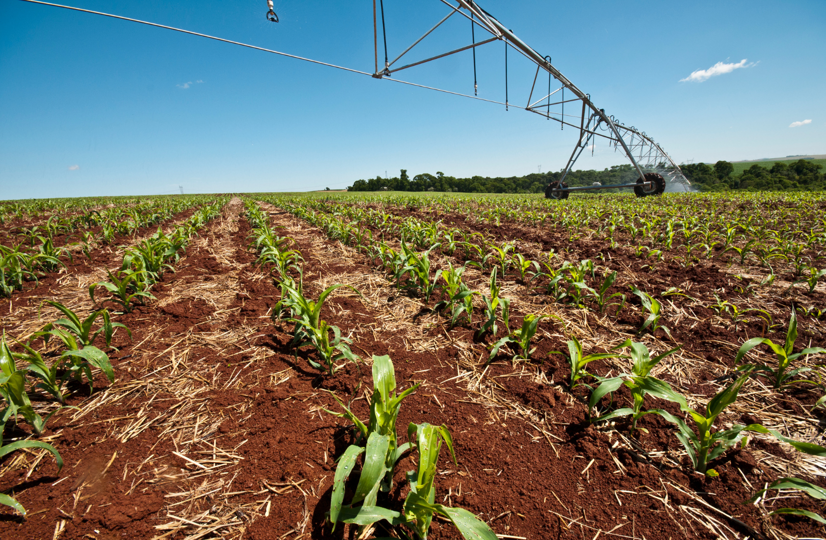 Sustainable Agriculture A multi-benefit approach for the modern agri-food sector Sustainable Agriculture: A multi-benefit approach for the modern agri-food sector