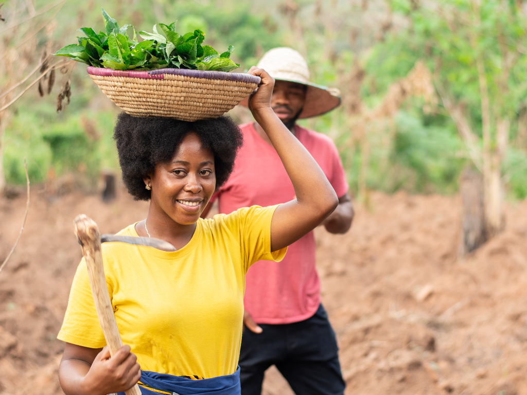 Agribusiness Opportunities in Nigeria's Export Market