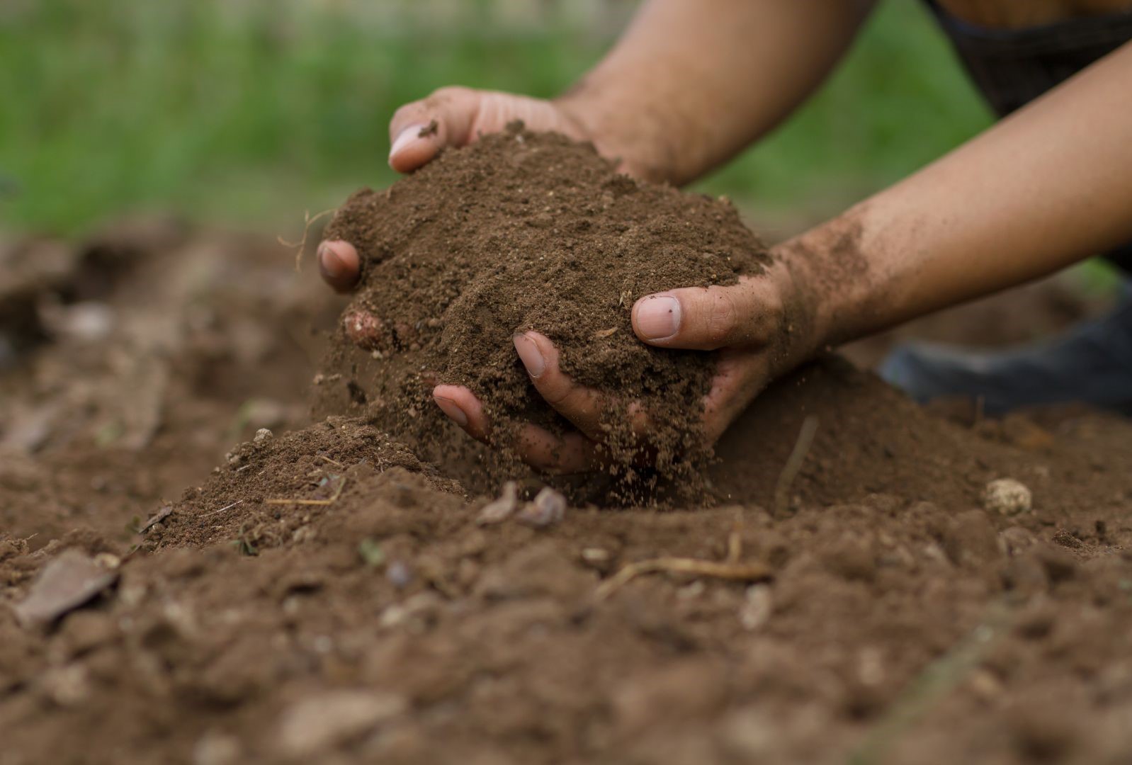 What is Carbon sink?