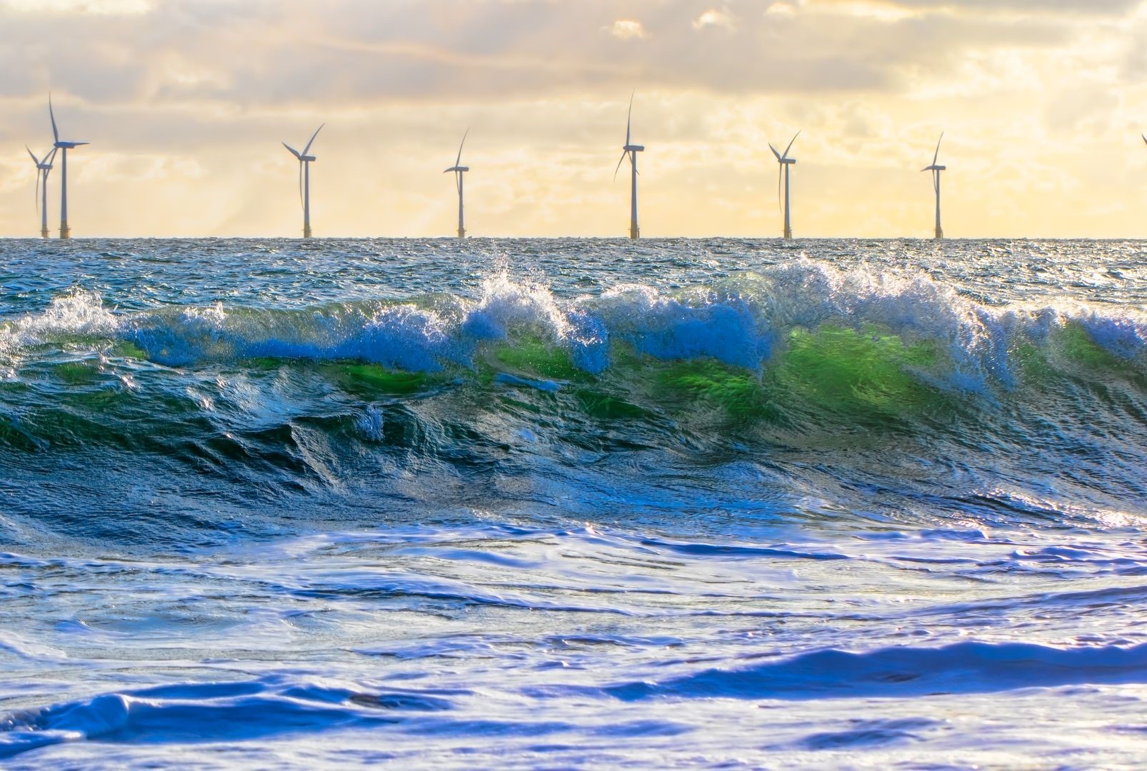 What/Which are the renewable resources?