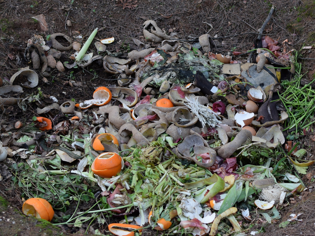 Processo de biocompostagem
