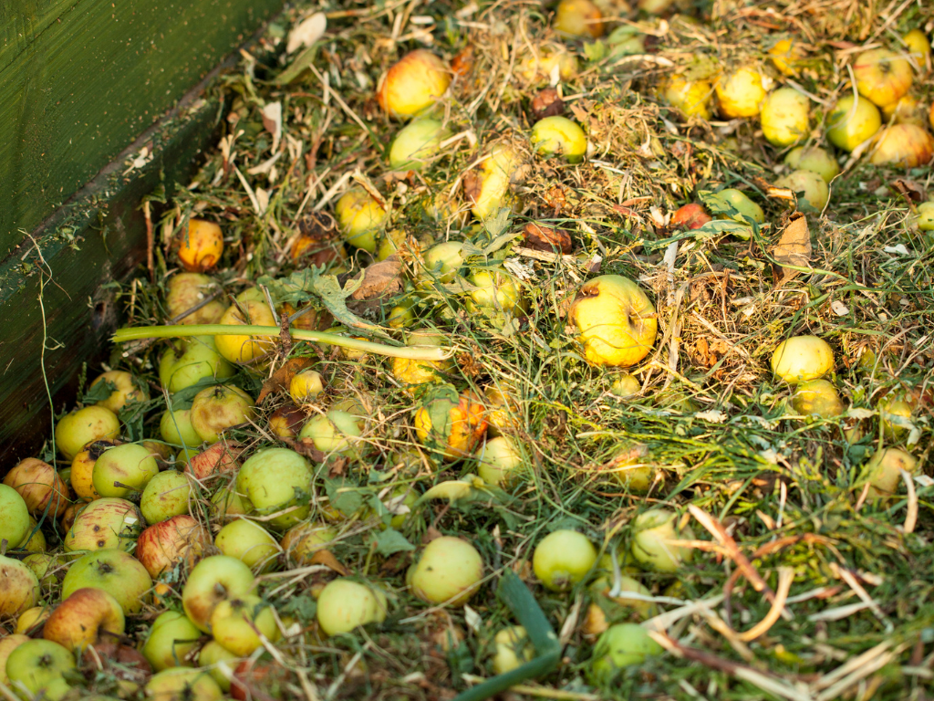 Biocompostagem utilizando subprodutos agrícolas