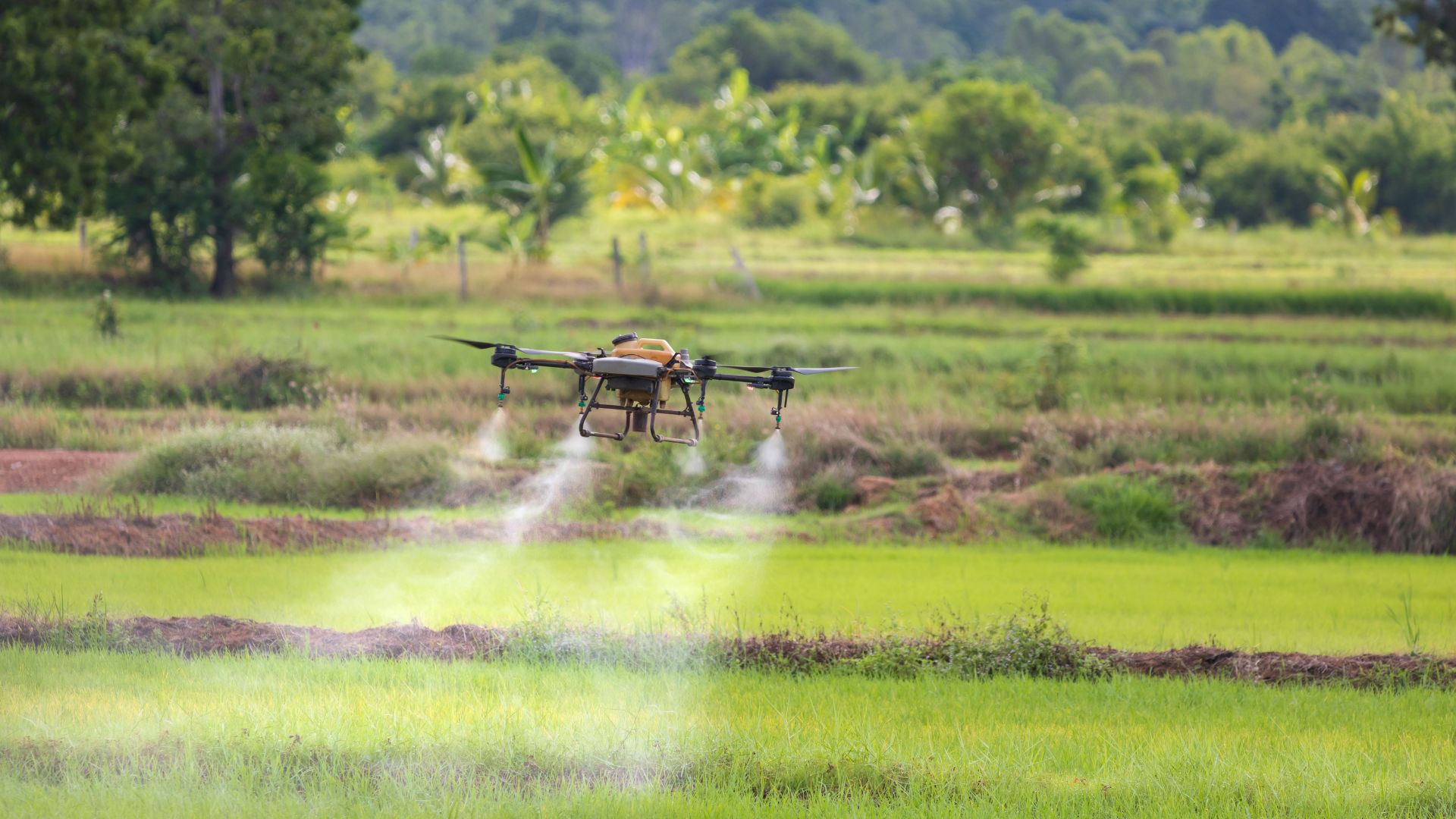 Drones in Crop Monitoring and Management: Uses, Types, Advantages and Limitations