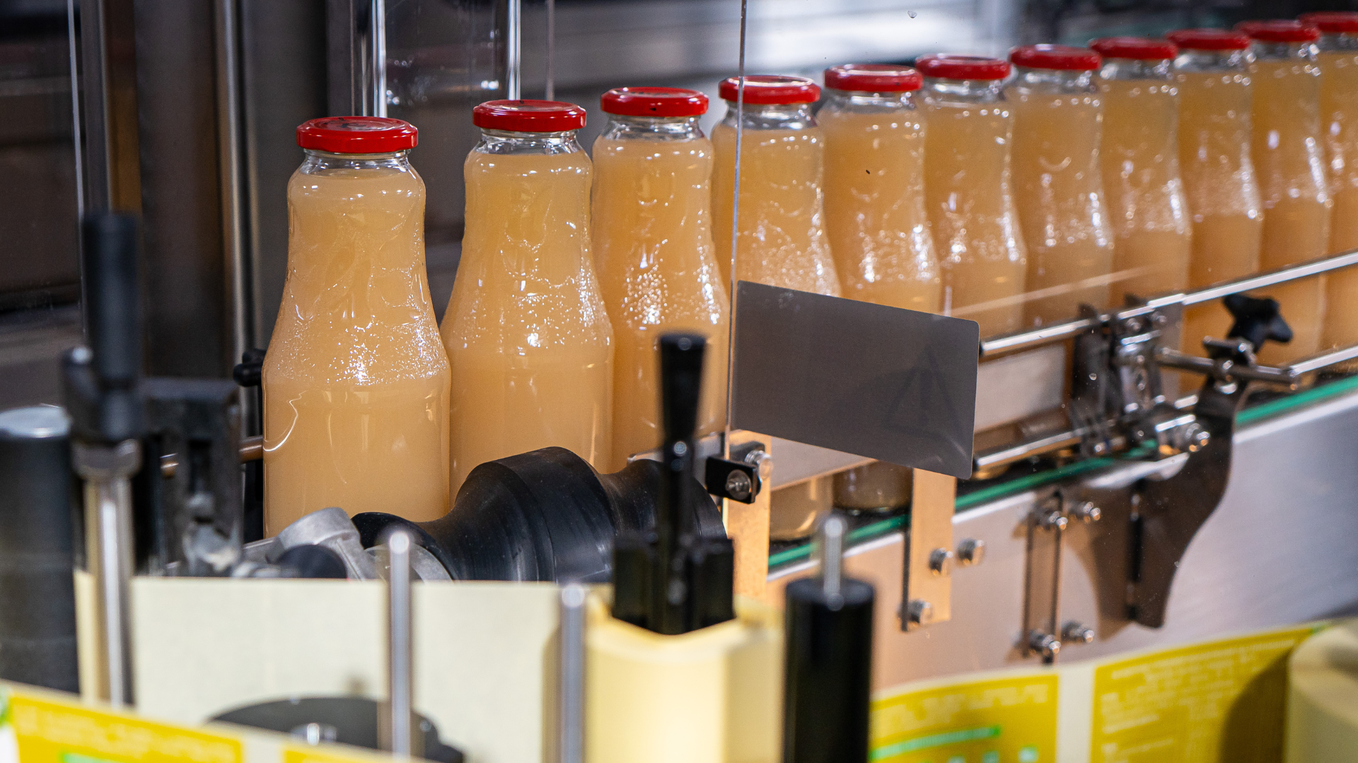 How to use Imperfect Fruits and Vegetables to Produce Juice and Smoothies