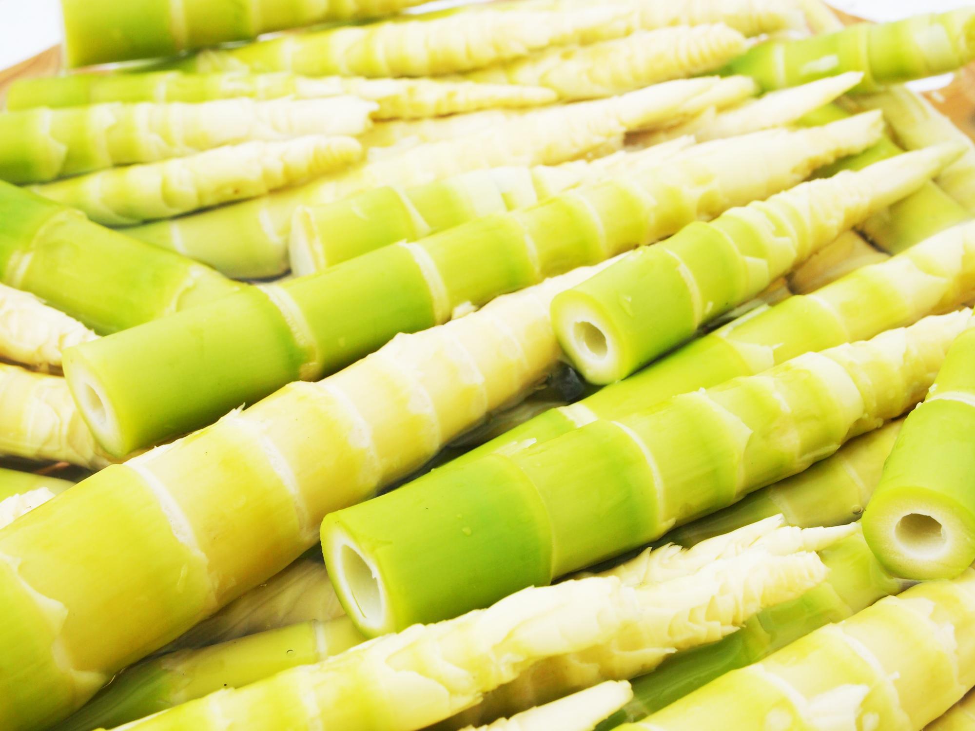 Bamboo Shoots: Sustainable Superfood for Next-Gen Functional Foods ...