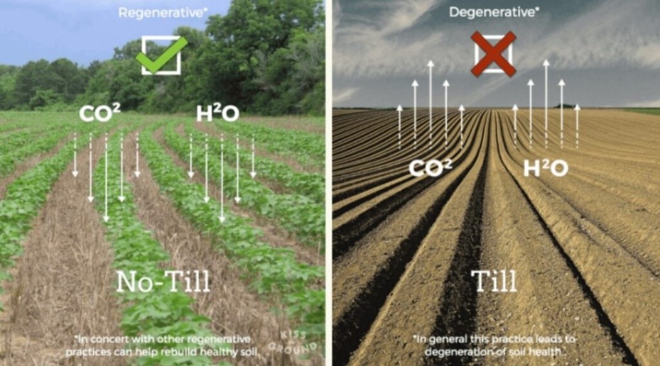 How to Combat Desertification and Drought with Regenerative Agriculture ...