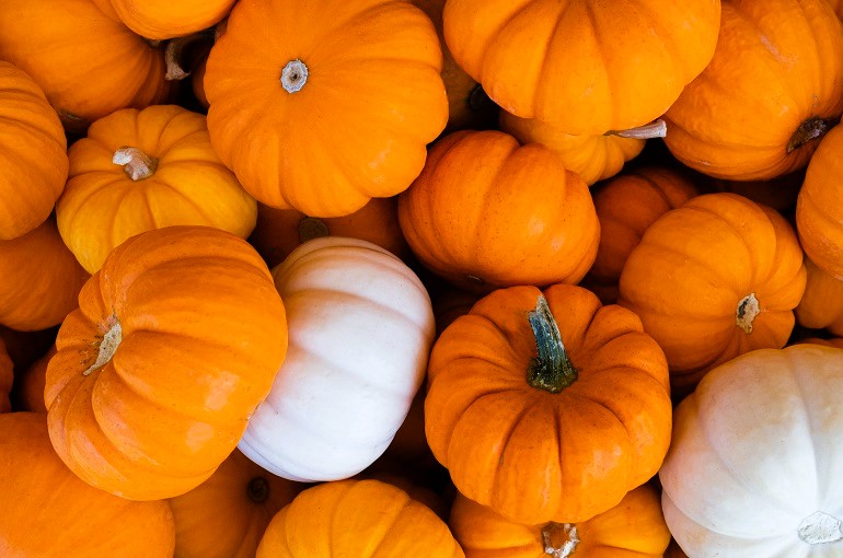15 Faits intéressants sur les citrouilles
